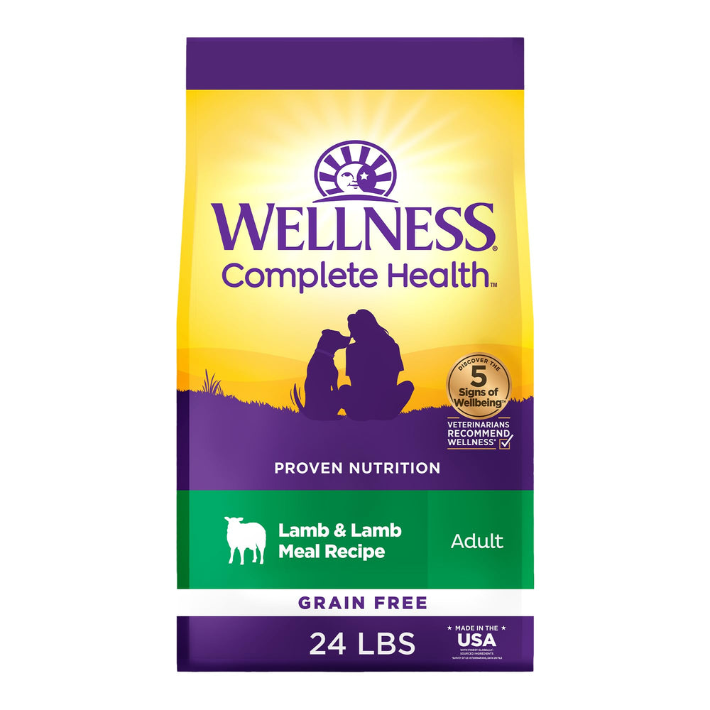 Wellness Complete Health Lamb Recipe dry dog food in a bowl, balanced meal for dogs.