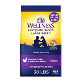 Wellness Complete Health large-breed kibble with chicken and brown rice for balanced nutrition.