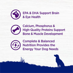 Wellness Complete Health USA-made label signaling quality