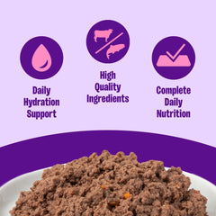 Wellness Complete Health Pate cat food served in a bowl for cats.