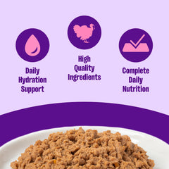 Wellness Complete Health Pate cat turkey dinner open can shows smooth texture for feeding