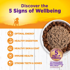 Wellness Complete Health Pate Puppy can shows DHA from salmon oil