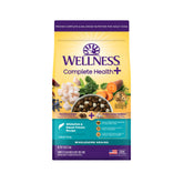 Wellness Complete Health+ dry dog food bag framed for consistent daily nutrition