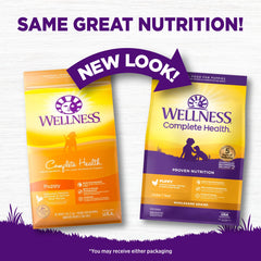 DHA from salmon oil supports healthy brain development in Wellness Puppy food