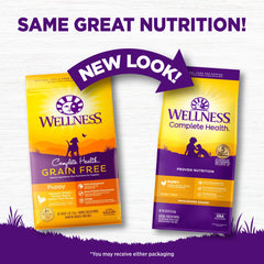 Close-up of WellnessCompleteHealth puppy kibble highlighting crunchy texture