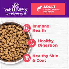 Closeup of Wellness salmon kibble showing crunchy texture