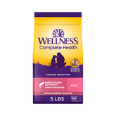 Wellness Complete Health salmon and rice kibble in a bowl supports gentle digestion