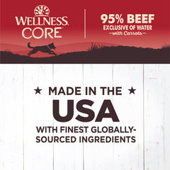 Wellness CORE 95 serving bowl β ready to serve as a complete meal.