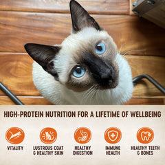 Wellness CORE Chicken Pate single-serve pouch with silky texture cats enjoy during meals.