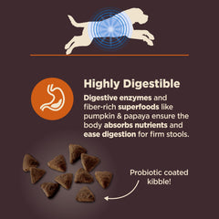 Chicken ingredient image highlighting natural chicken protein.