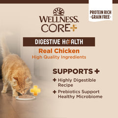 Wellness CORE+ Digestive Health pate texture is smooth and palatable for cats.