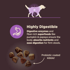 Wellness CORE Digestive Health senior chicken and brown rice ingredients label emphasizing quality protein.