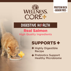 Wellness CORE+ Digestive Health 12-pack cans on shelf offers convenient bulk feeding.