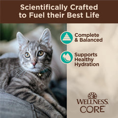 Grain-free Wellness CORE formula with natural ingredients.