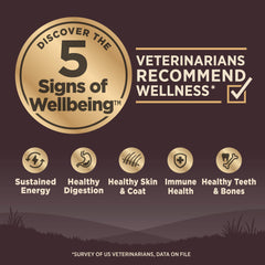 Wellness CORE kibble closeup shows natural ingredients in the meat-forward formula