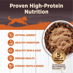 Wellness CORE grain-free pate closeup highlights protein-rich ingredients