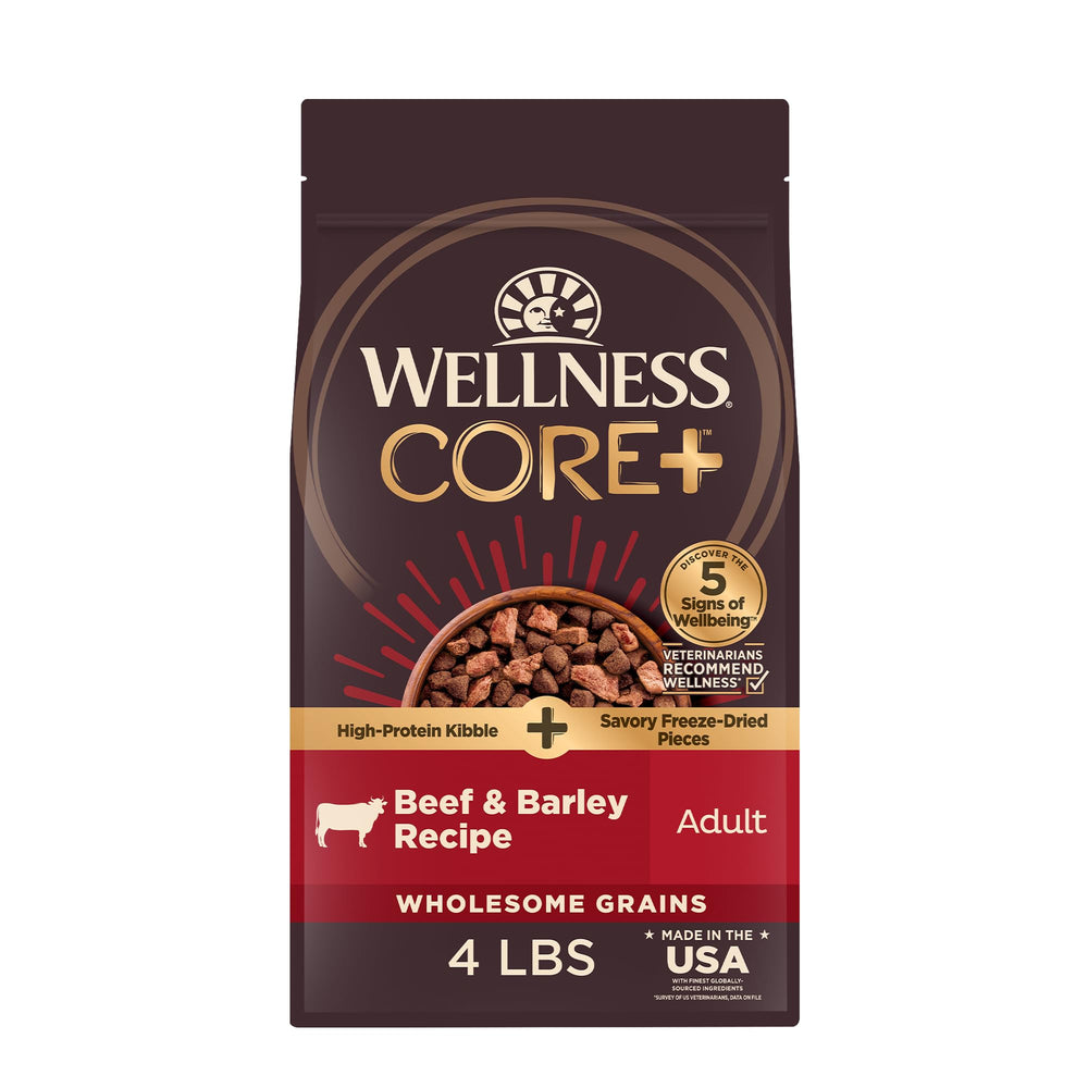 Wellness CORE+ beef-barley kibble in a bowl for balanced protein-rich meals.