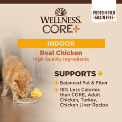 Wellness CORE+ Cat Eating Pate demonstrates appealing texture for picky indoor cats.