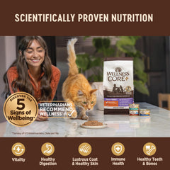 Wellness CORE+ Hairball Pate serving dish shows a moisture-rich meal for cats.