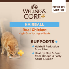 Wellness CORE+ Hairball Pate pour serving demonstrates convenient texture for daily hydration.