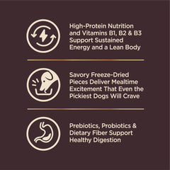 Serving bowl of Wellness CORE+ small-breed meal ready to serve