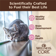 Wellness Core Tiny Tasters kitten grain-free ingredients for balanced nutrition