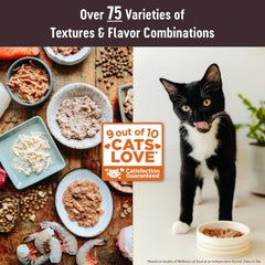 Close-up of Wellness CORE Tiny Tasters chicken pate texture, smooth and palatable.