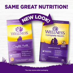 Wellness dog bowl with kibble ready for a wholesome daily meal, supporting a reliable feeding routine.