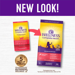 Wellness dry cat food ingredients with real salmon visible