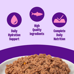 Wellness grain-free kitten pate close-up: protein-dense texture with real meat first.