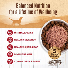 Wellness grain-free wet dog food in a bowl for convenience.