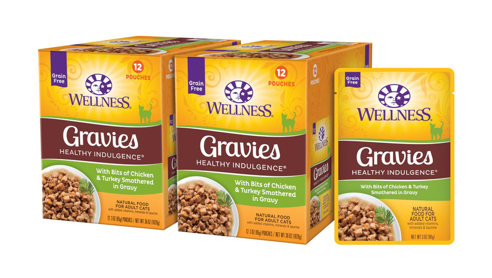 Wellness Healthy Indulgence gravies pouch close-up promotes grain-free, protein-rich meals