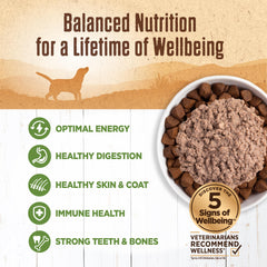 Wellness Lamb meat texture close-up highlights premium protein source.
