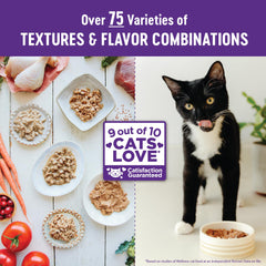Wellness Healthy Indulgence Morsels savory gravy close-up highlights rich texture for cat dining.