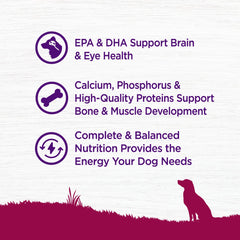 Wellness omega-rich kibble surface suggests shiny coat and healthy skin.