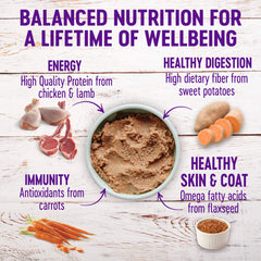 Wellness pate chicken lamb and sweet potato texture close up