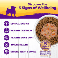 Wellness grain-free formula designed for dogs with grain sensitivities.