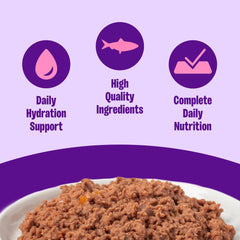 Wellness Complete Health senior cat wet food pate close-up showing smooth texture