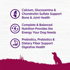 Wellness Senior dog enjoying kibble demonstrates easy portion control feeding.