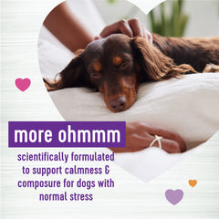 Wellnes smoked cheese flavor chews close-up highlighting tasty calm formula.