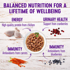 Wellness wet-cat-food-savory-sauce enhances hydration and appetite at feeding time.