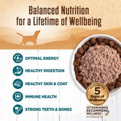 Wellness Wet dog food mixer shot illustrating easy topper addition