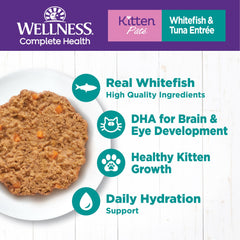 Wellness whitefish-tuna-entree closeup highlights smooth pate texture for kittens