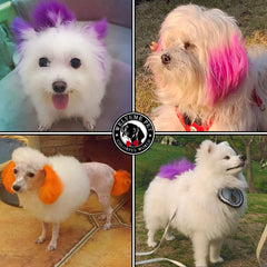 WELYEME six color bottles ready for home grooming and style experiments.