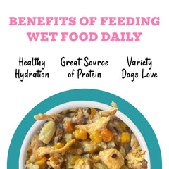 Weruva Awesome Belly bowl shows serving ready to feed, highlighting a digestible chicken and pumpkin mix.