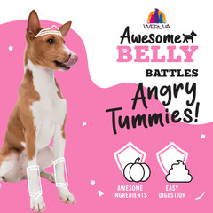 Weruva Awesome Belly dog bowl served meal ready for canine nutrition.