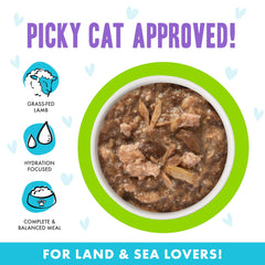 Tender meat pieces in gravy from Weruva B.F.F. OMG Shazaam for cat craving satisfaction