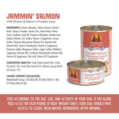 Weruva Jammin' Salmon pumpkin soup visual highlights smooth texture and aroma