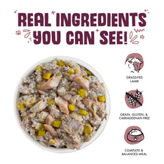 Mackerel flakes in gelee highlight omega-3 richness for dogs