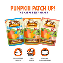 Weruva Pumpkin with Coconut Oil & Flaxseeds pouch highlights added fats for digestion-friendly feeding.